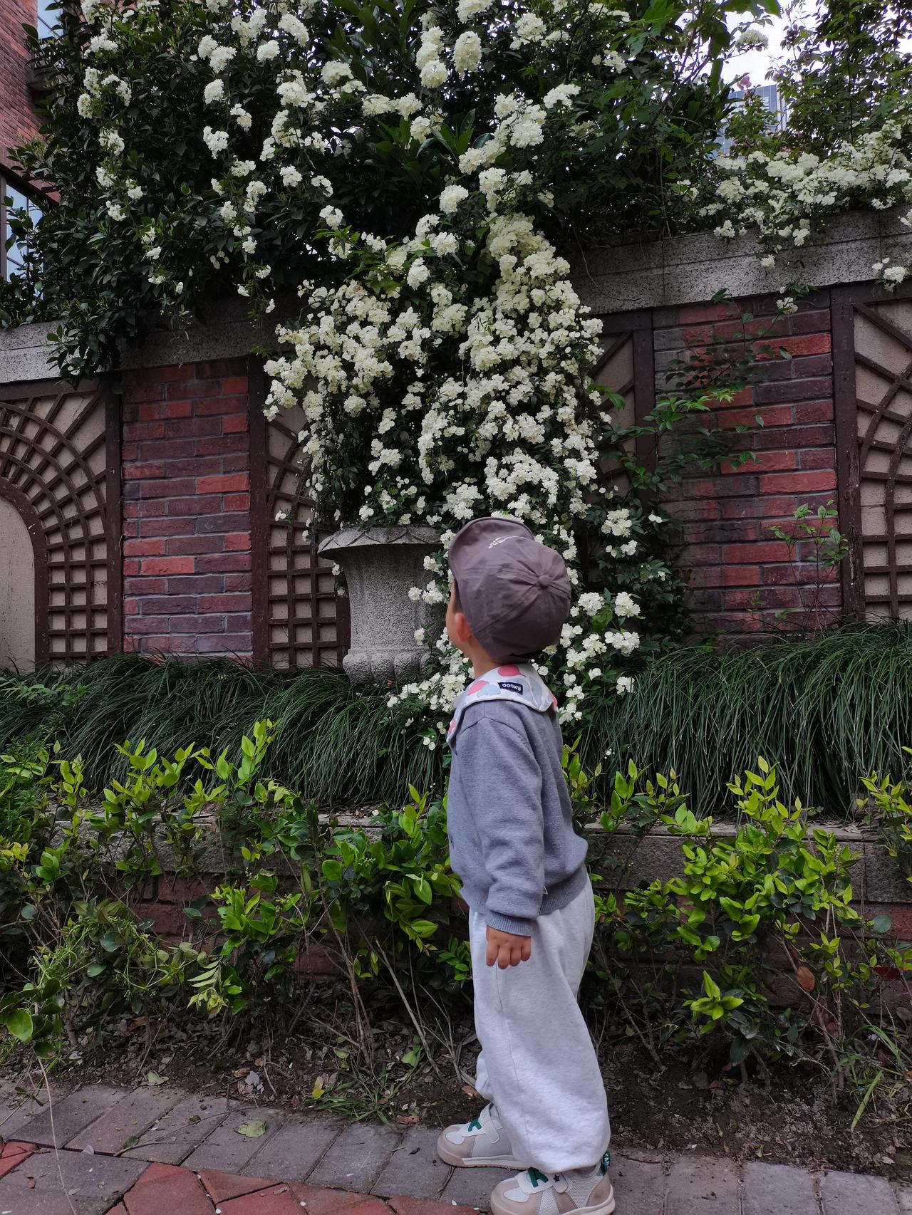 小老板今天的行为，
再次让我觉得他不同于一般的小孩。

上午去上班，
小老板还没