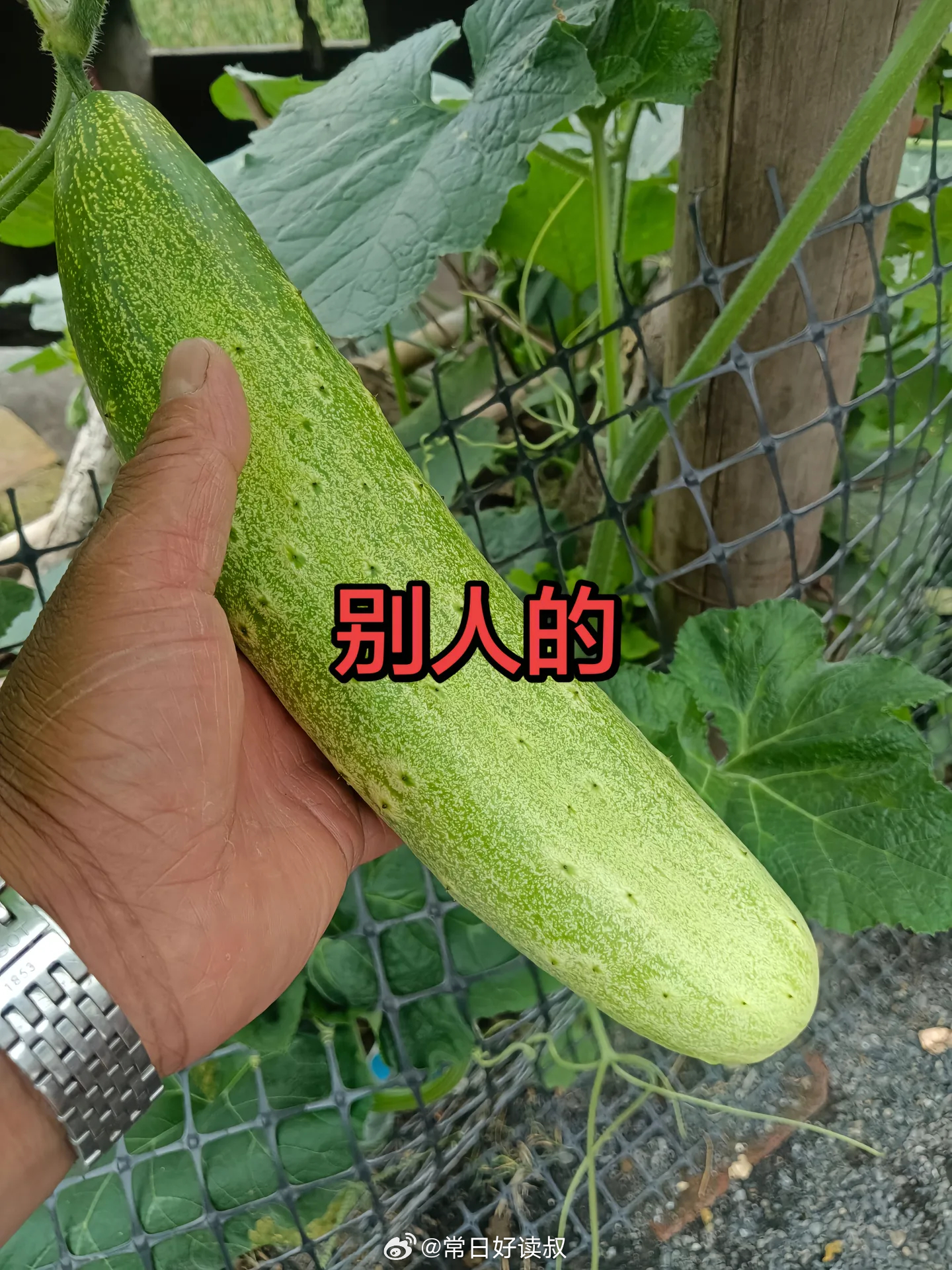 早安宝宝们 