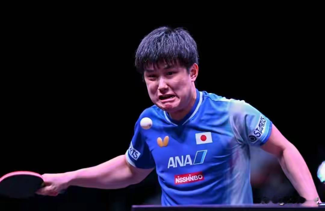 张本智和蛮可怜的
       世界上大概没有一个乒乓球选手比张本智和更可怜的了