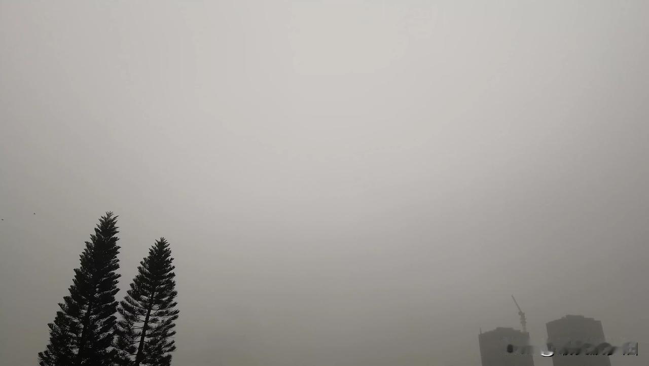 近期南方地区多阴雨天气，
广东周末雨雾返场！
今天（16日），
广东中西部市县有