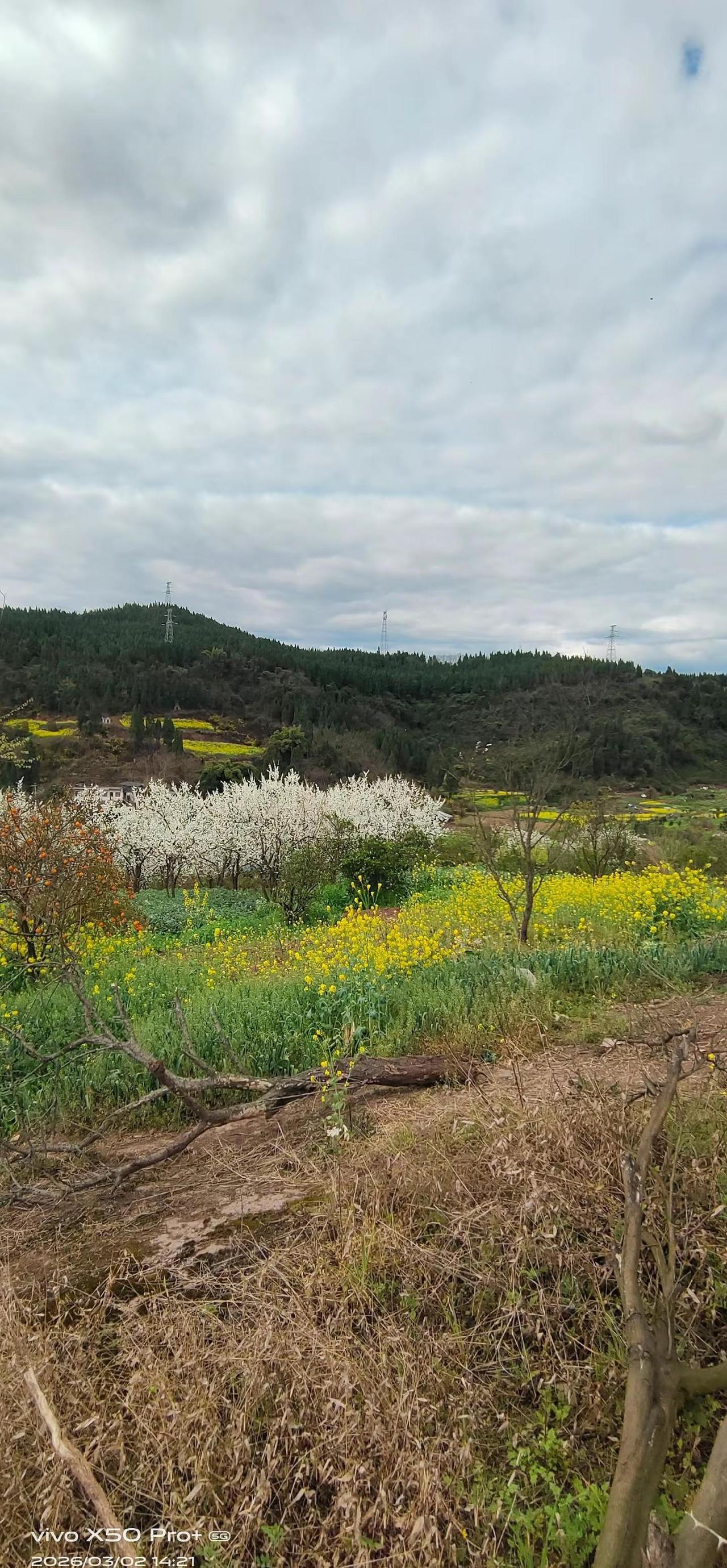 一个可以踏春，吃农家饭，徒步，体验自己拾材火自己做农家饭的地方，坐4路公交车就能