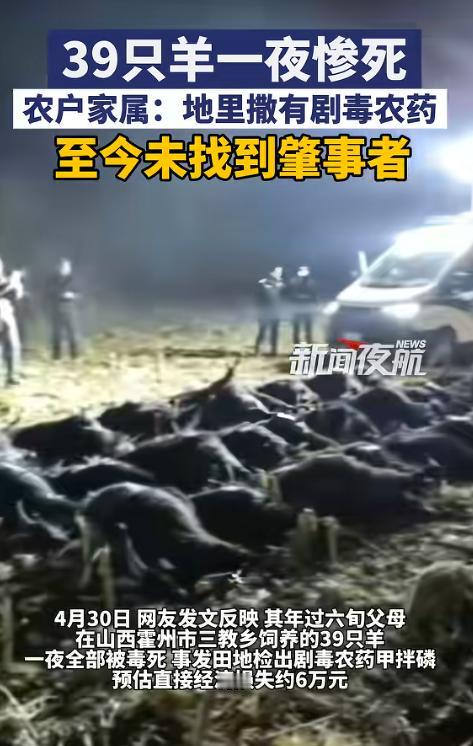 离谱纠纷！4月30日报道，山西霍州爆出一桩蹊跷纠纷。一对六旬夫妇私自驱赶 39 
