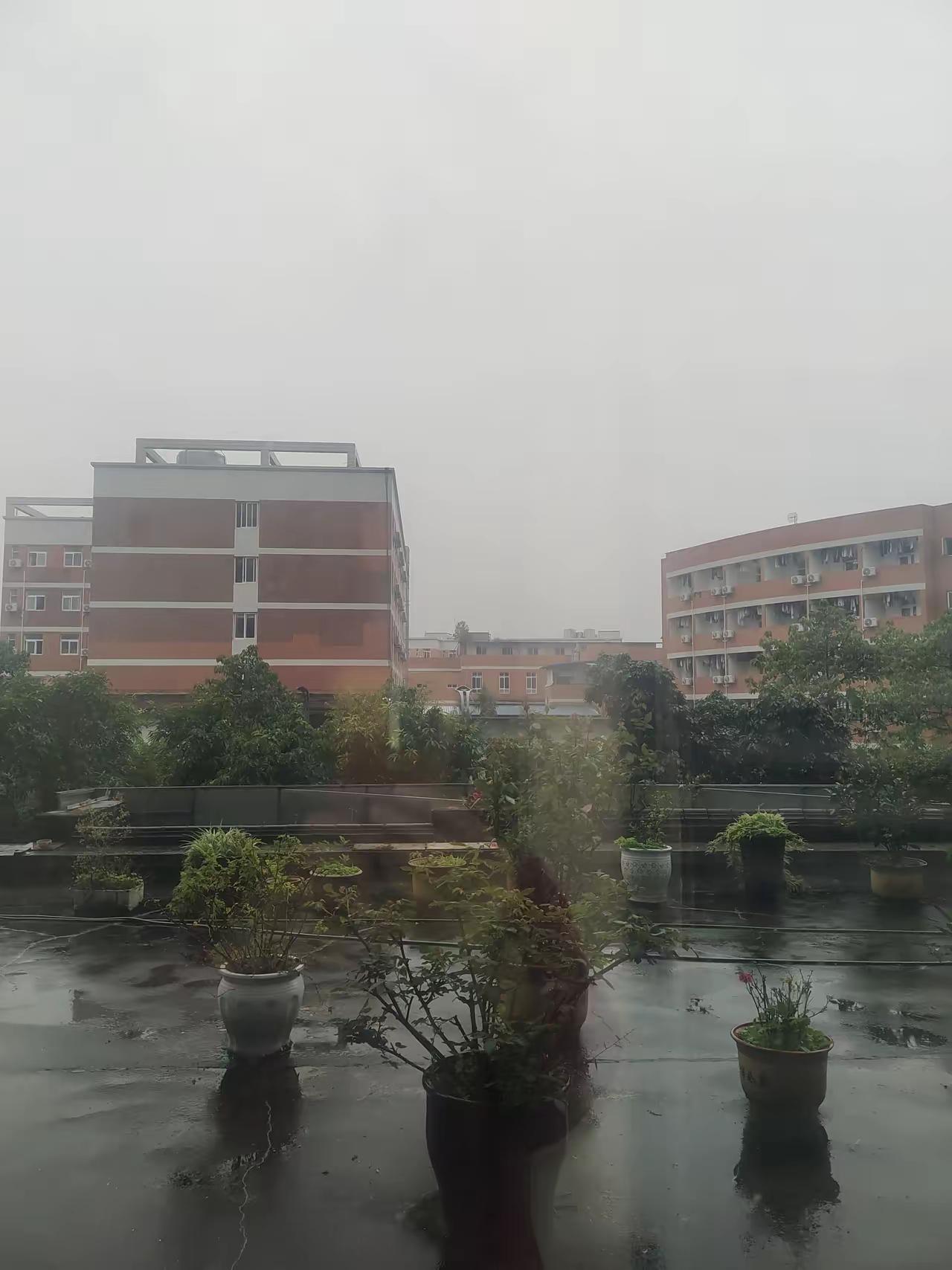 成都又上热搜！这次既不是火锅飘香，也不是熊猫卖萌，而是凭着“全国秋冬日照倒数
