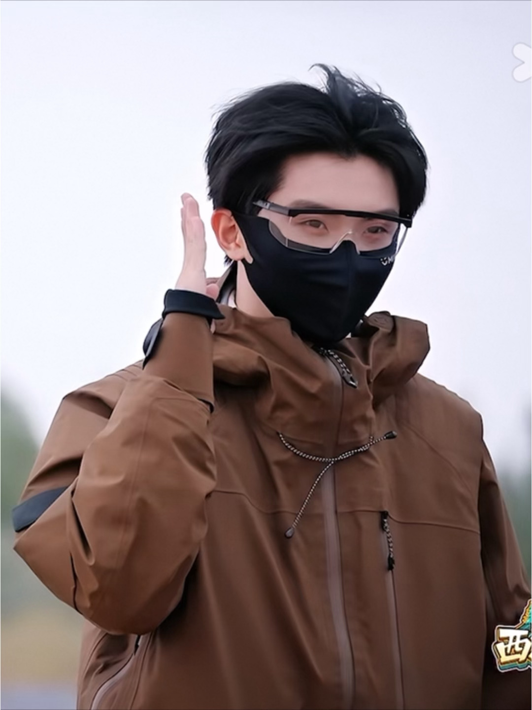 大自然造型师给吹了个酷酷的背头结果此咪比谁都乖巧🙋🏻♀️ 