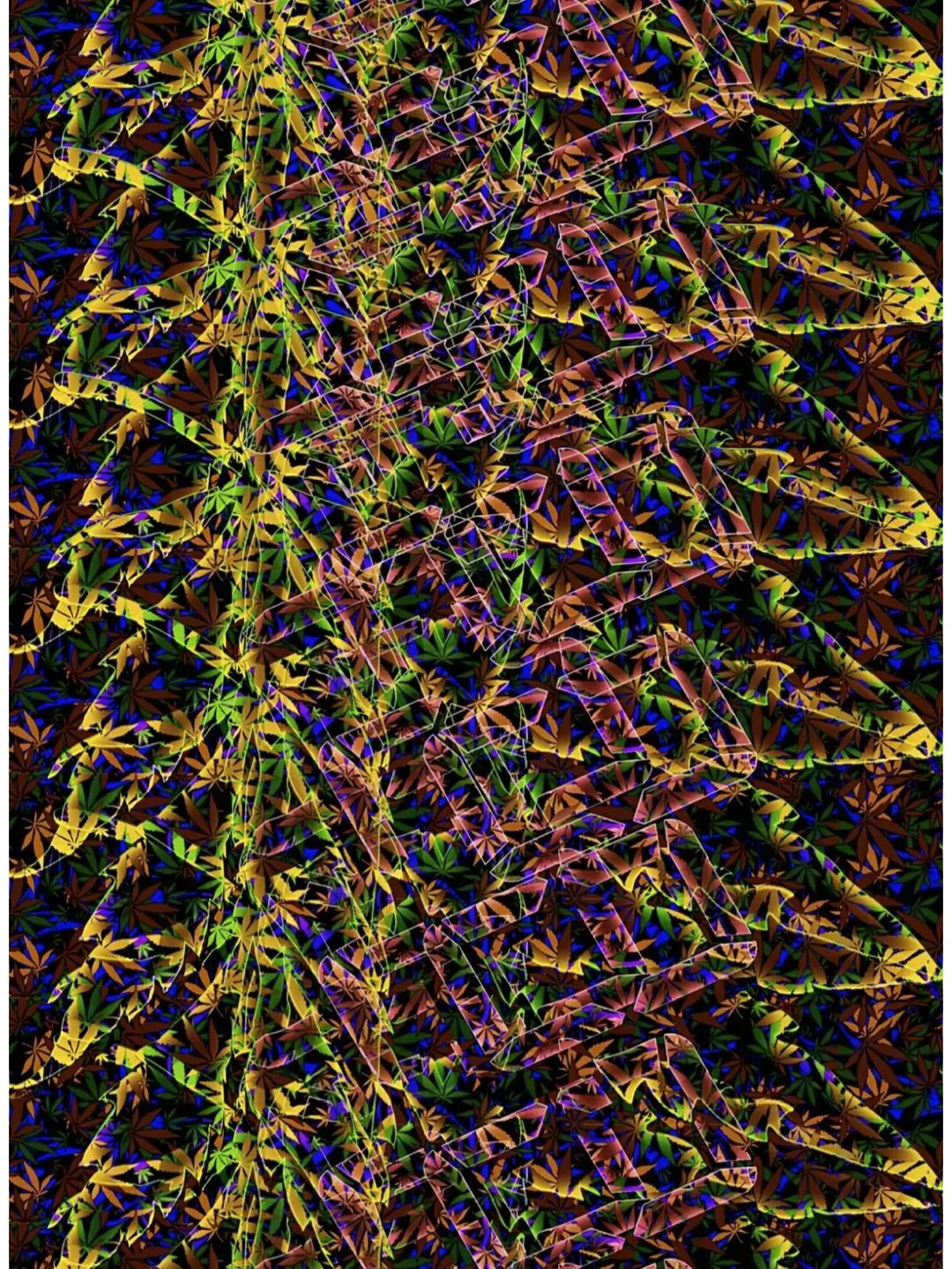 看到了什么，评论去留言吧