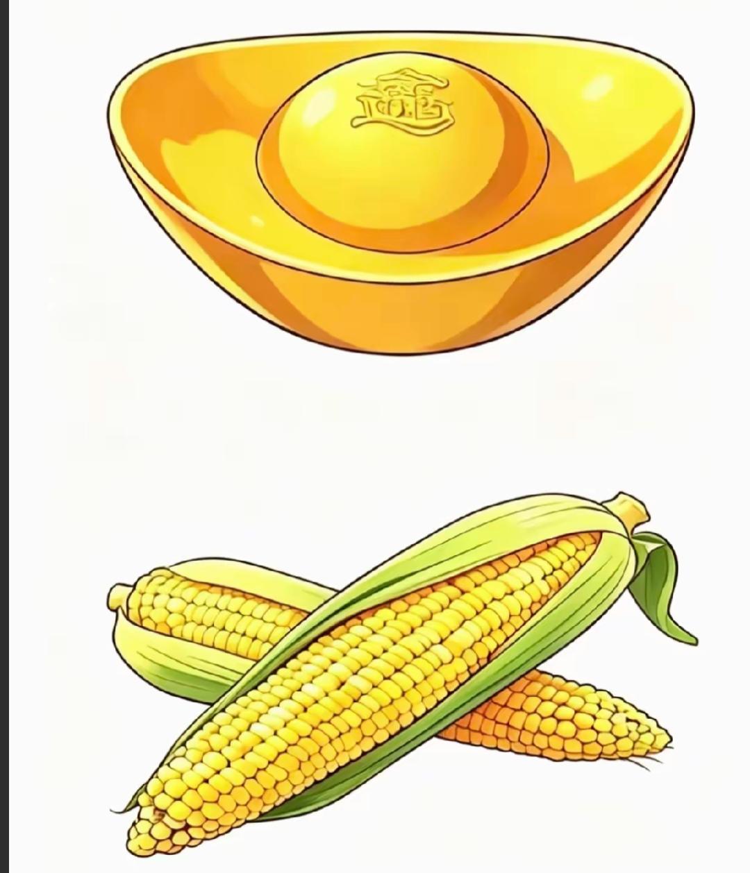 金灿灿的玉米，丰收的喜悦！🌽💛金黄色的元宝和玉米美好的组合，这是一个什么词语