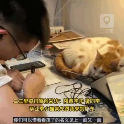 太有爱了！陕西，四名男生偶然收养了一只流浪猫。本以为毕业各奔东西是终点，结果他们