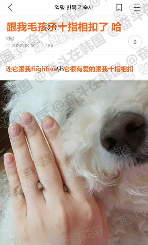 认真和主人十指相扣的小狗 ~海外新鲜事 热点现场
