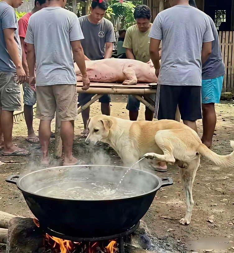 见者有份，请大家吃杀猪饭。 