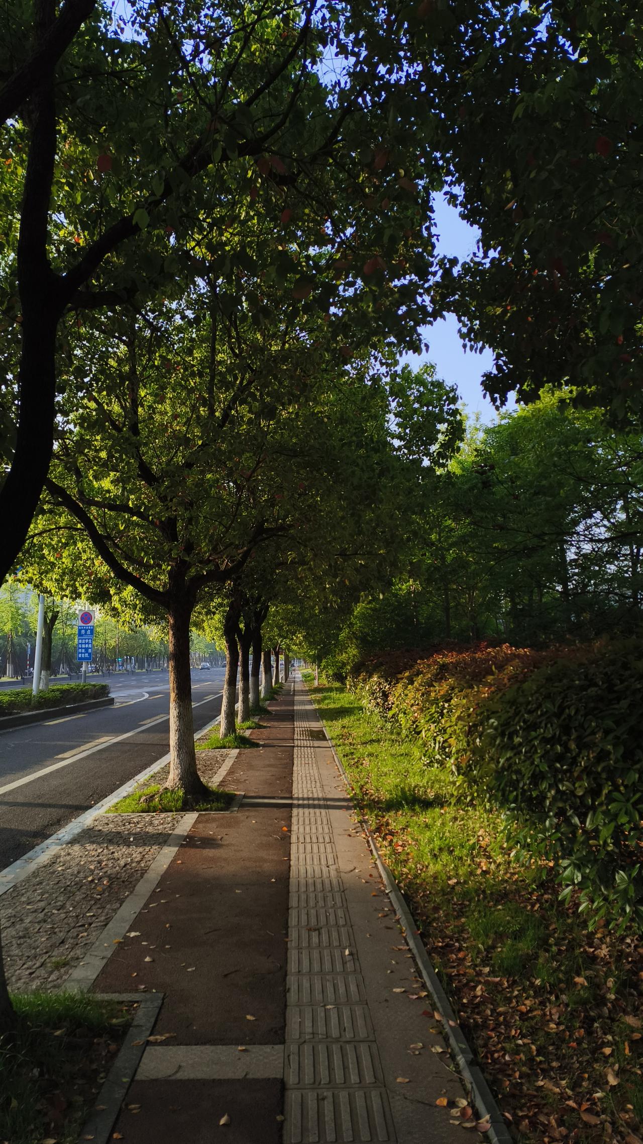 成都就很不错，当地推出了15大主题的CityWalk城市漫游产品，能沉浸式感受蓉