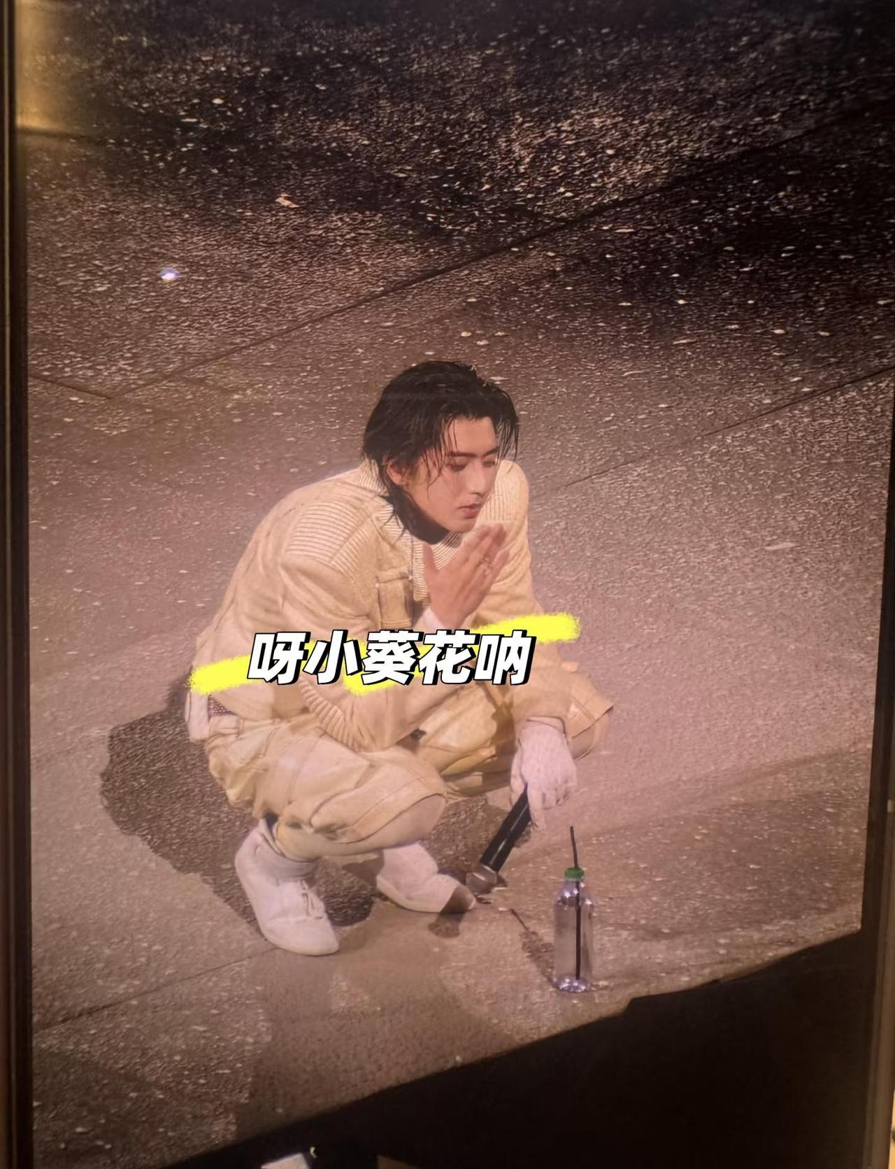 可爱小猪
蔡徐坤 蔡徐坤新歌 蔡徐坤澳门
