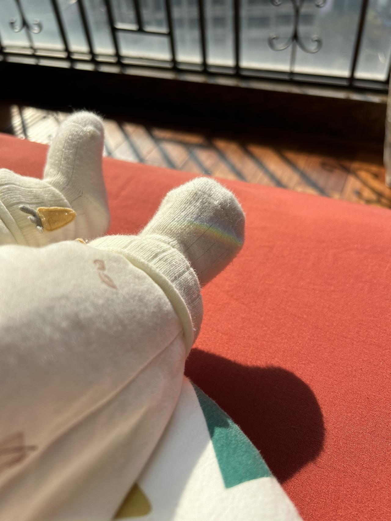 好几个月没更新啦，没更新的这些日子，我悄悄地生了个娃，在摸索如何照顾人类幼崽……