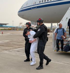 不少人感到疑惑，平日里时常和中国针锋相对的美国，这次为何愿意配合，将刘瀚文遣返回