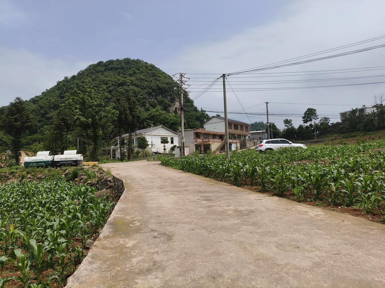 特朗普：不能对基辅进行系统性炸平
普京：伊朗浓缩铀交俄保管，俄将对伊供一切武器