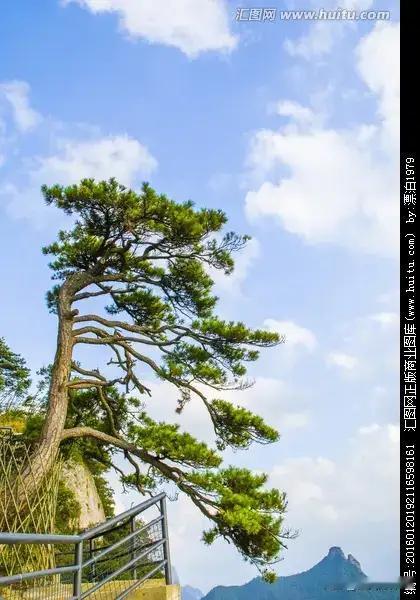 五一长假将来。中国驻日使馆提醒择日旅游谨慎！日本高市草苗制造事端，插手台海，中日