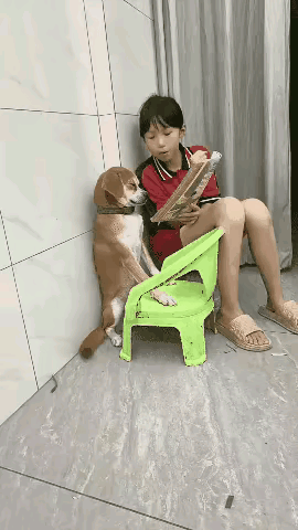 [大笑][捂脸]孺子不可教也。睡着了，白费劲，算了！