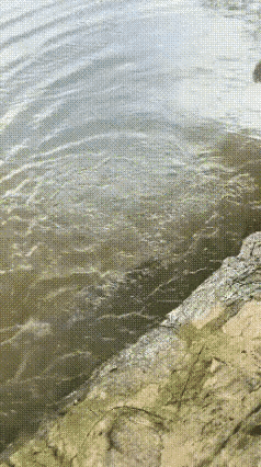 就差那么一点，可以啊