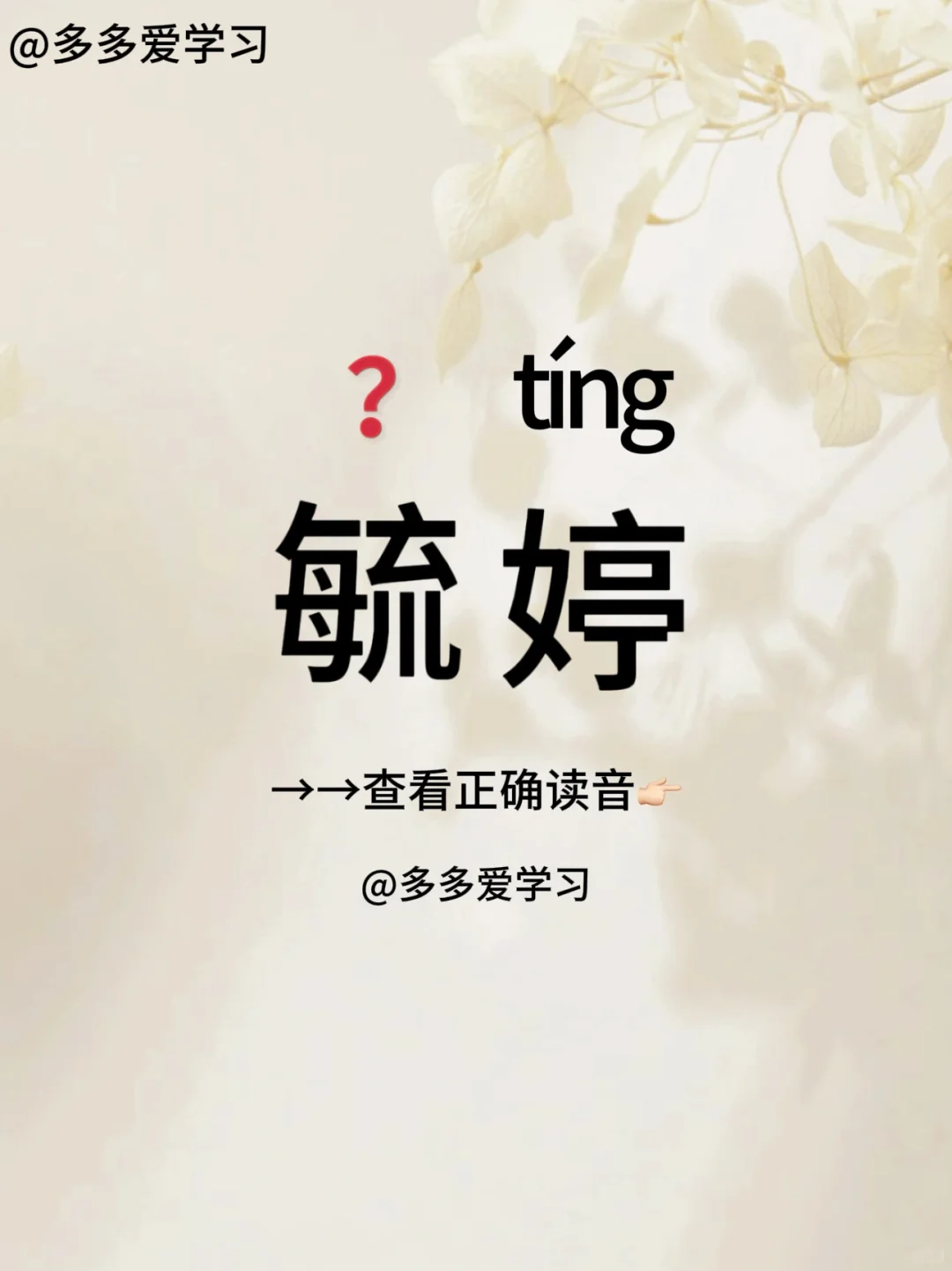毓婷——你读对了吗 🍇毓婷 🍇解释：一种女性紧急避孕yao。