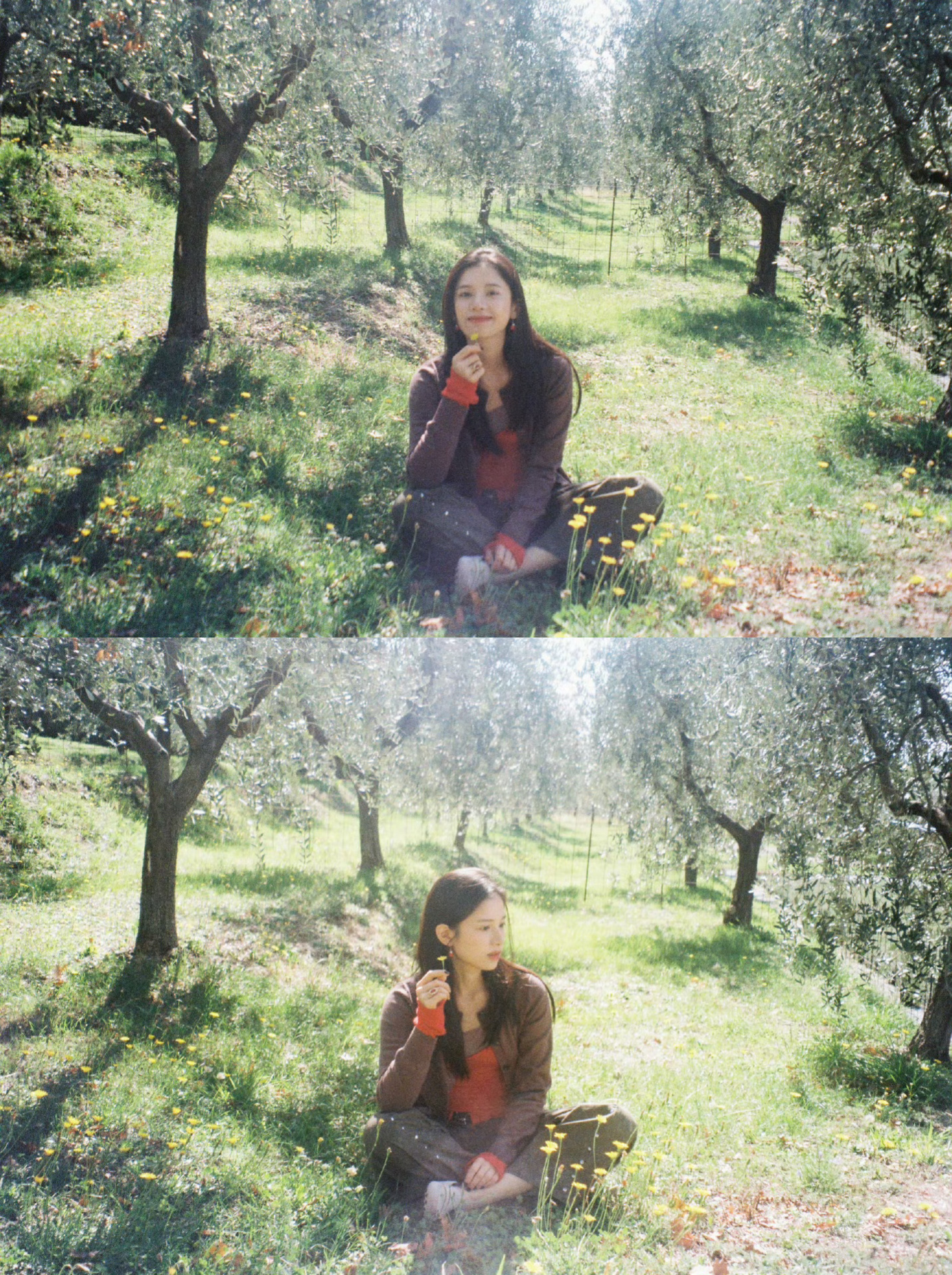 张婧仪与自然🌳 张婧仪油画质感胶片照