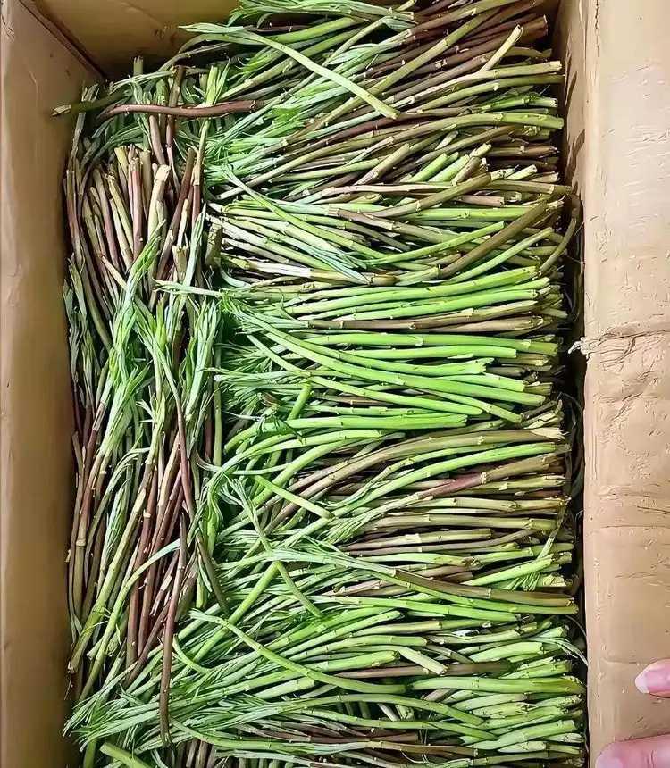 朋友要带妻儿回乡下，问我借车。
虽说我的车不是什么名贵好车，还是有点不情愿，但碍