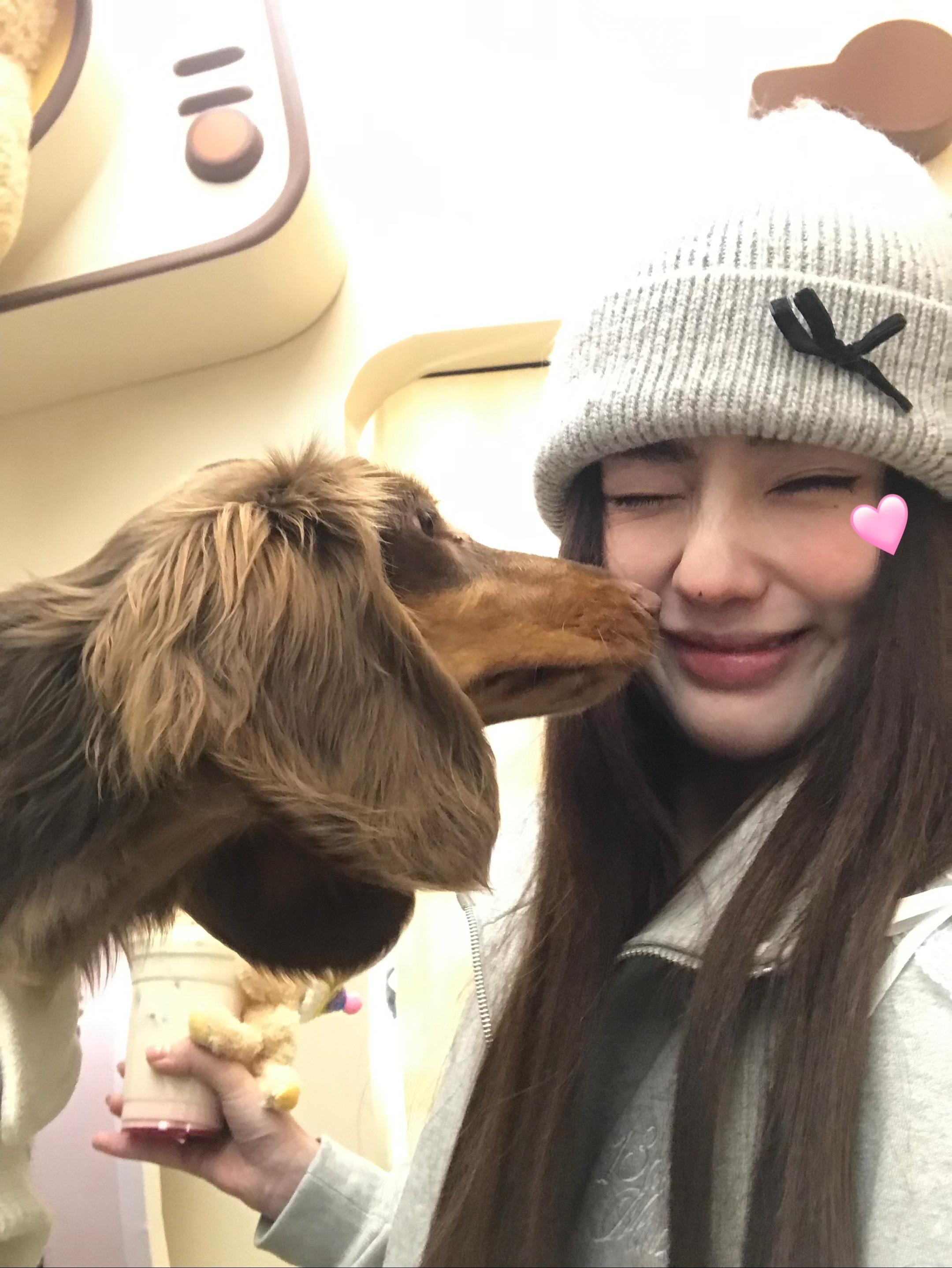 别对我小心翼翼"