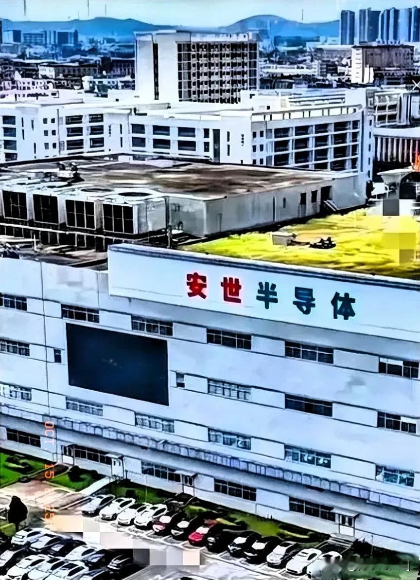 荷兰这次真的做得太过分了！吃相也太难看了，情节和当年“孟晚舟”事件有相似之处。