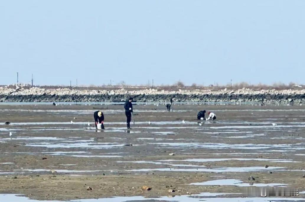 营口这三个免费赶海的好地方
外地人还真不知道
把攻略送给你！

第一个
导航马良