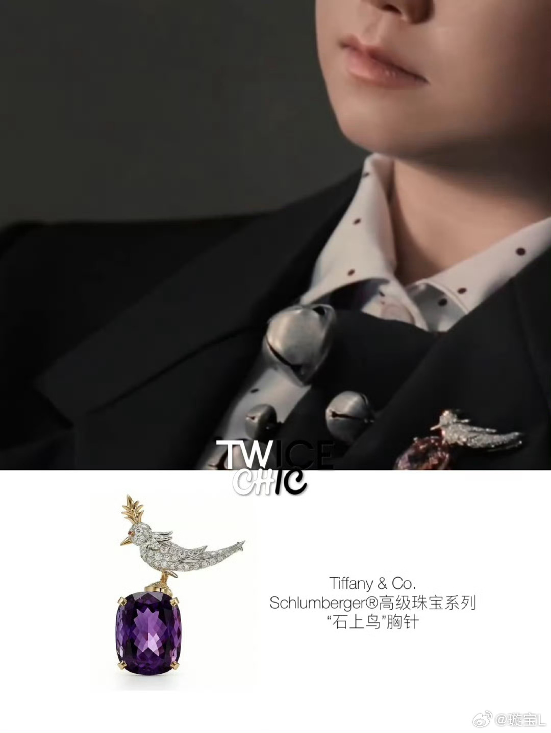 孙颖莎胸针品牌:蒂芙尼 Tiffany时间：2024系列：Rainbow Bir