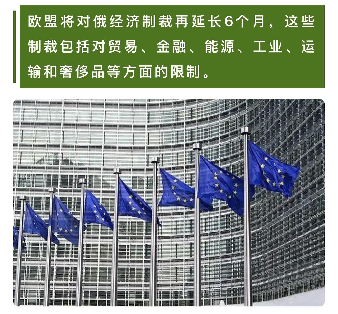 俄罗斯对欧盟的制裁采取了反制措施，并多次批评这些制裁是“非法限制”，强调其经济并