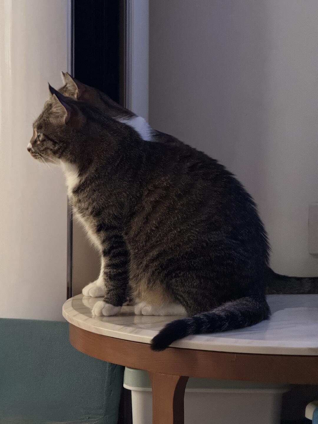 起猛了，我好像看见重影了