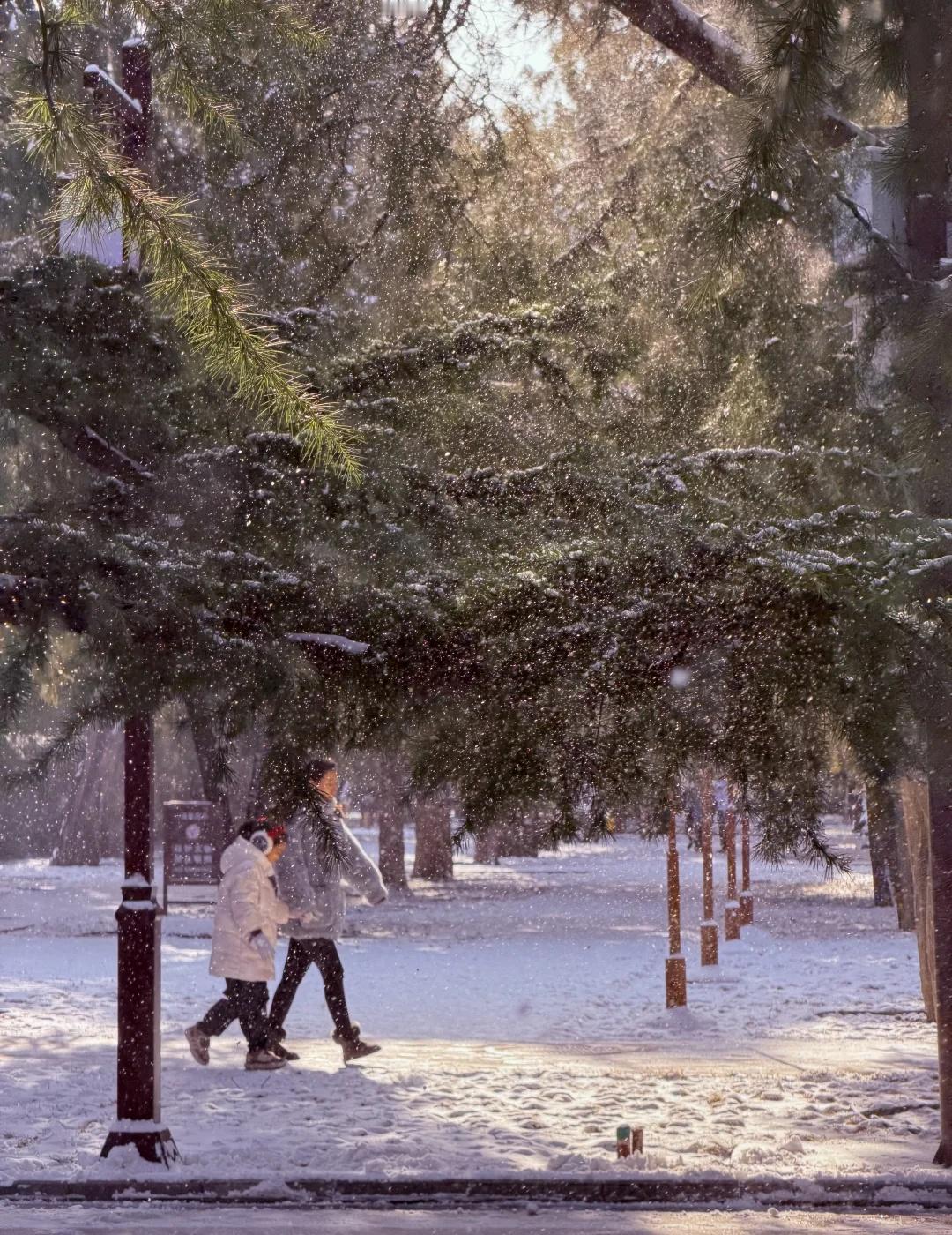 这才是Live图的意义吧｜北京初雪·太庙
如果你已经错过了北平的秋天
那一定不要