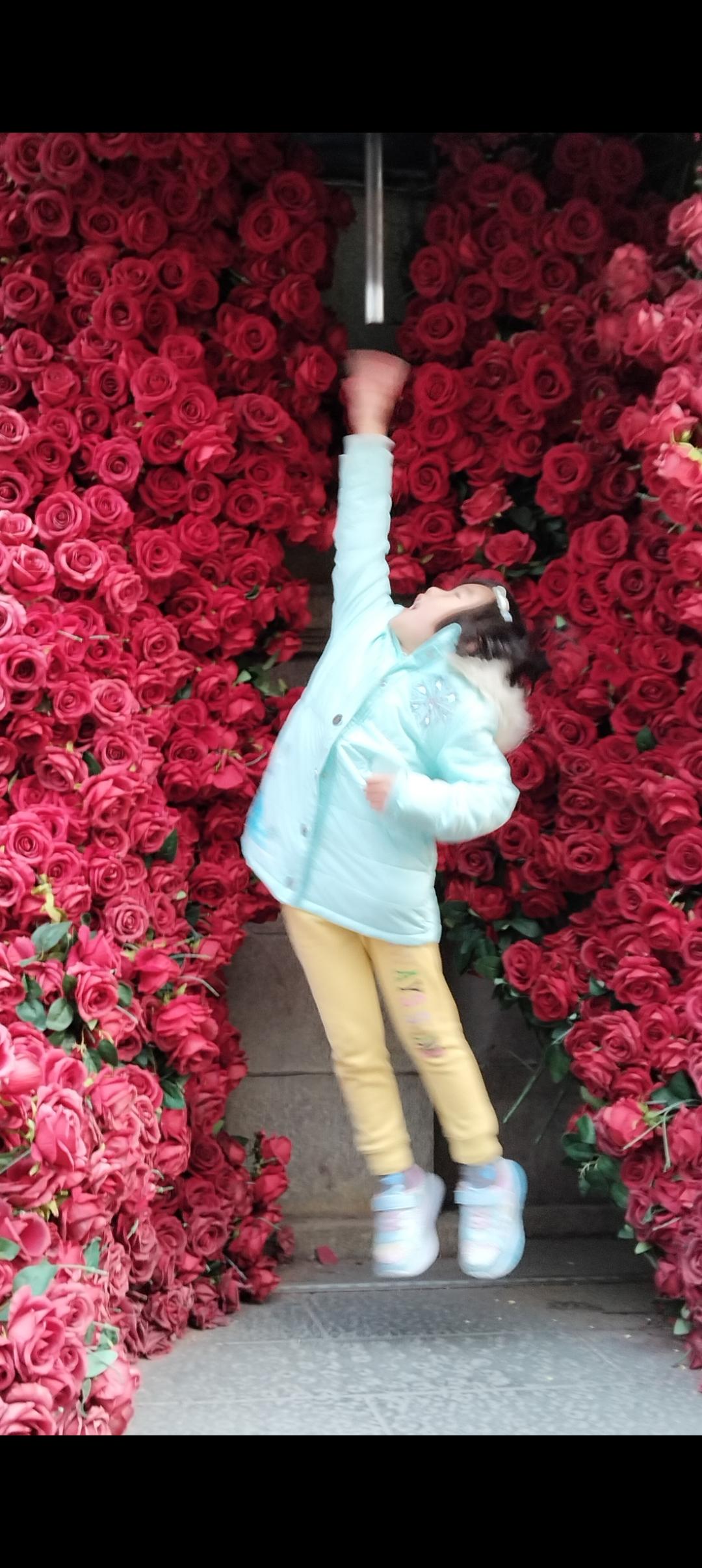 晒出你相册里最有意境的一张照片烟台朝阳街一把红玫瑰大伞，每天都有无数的姑娘举着伞