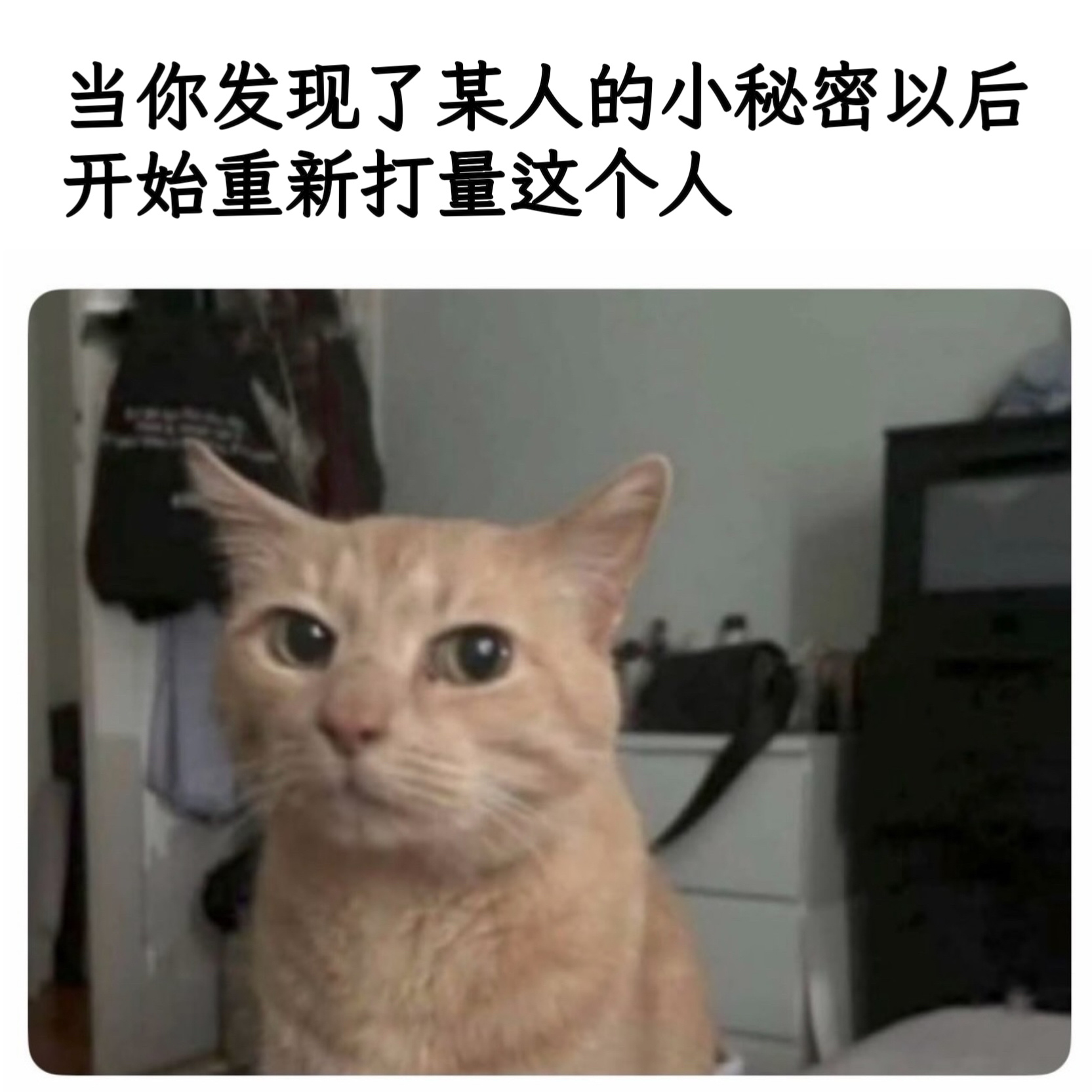有点意思memes