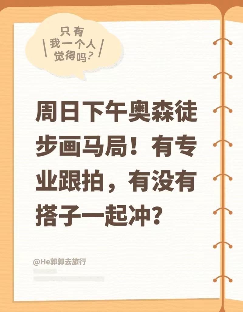 3.1日元宵节一起奥森画马呀。周日下午奥森徒步画马局！有专业跟拍，有没有搭子一起