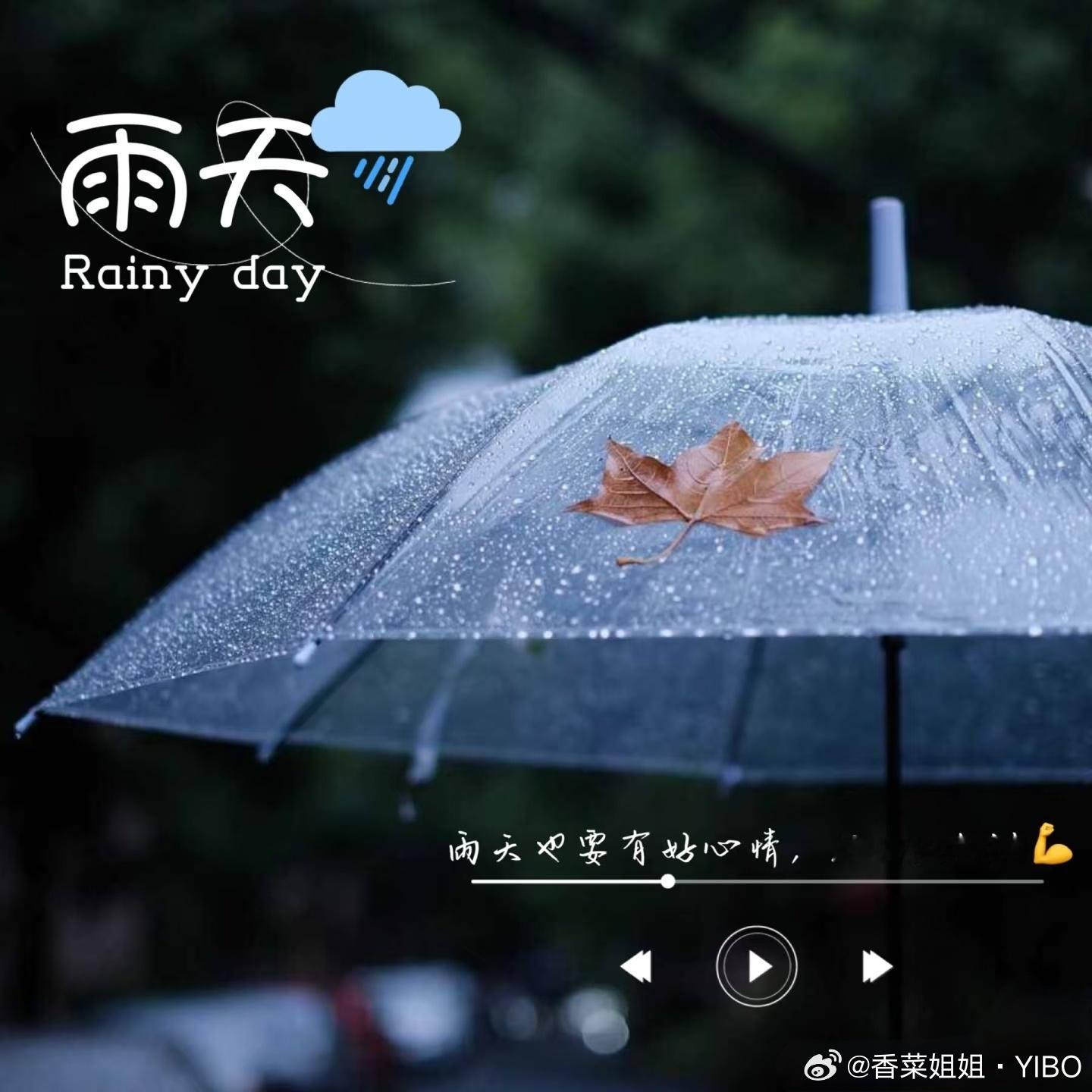 早安 早上好🌧️台风前的雨天☔️ 