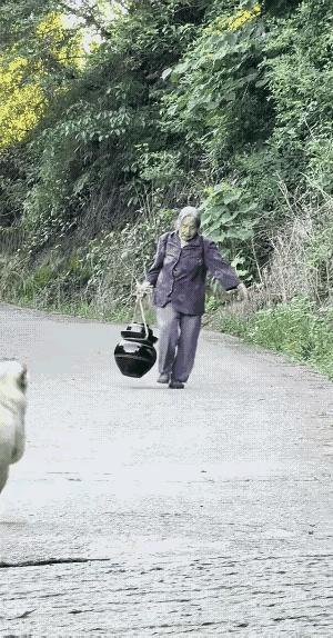 金毛看到奶奶从外面提了一口缸过来，非常开心的迎上去，要帮奶奶的忙，它拦住奶奶的脚