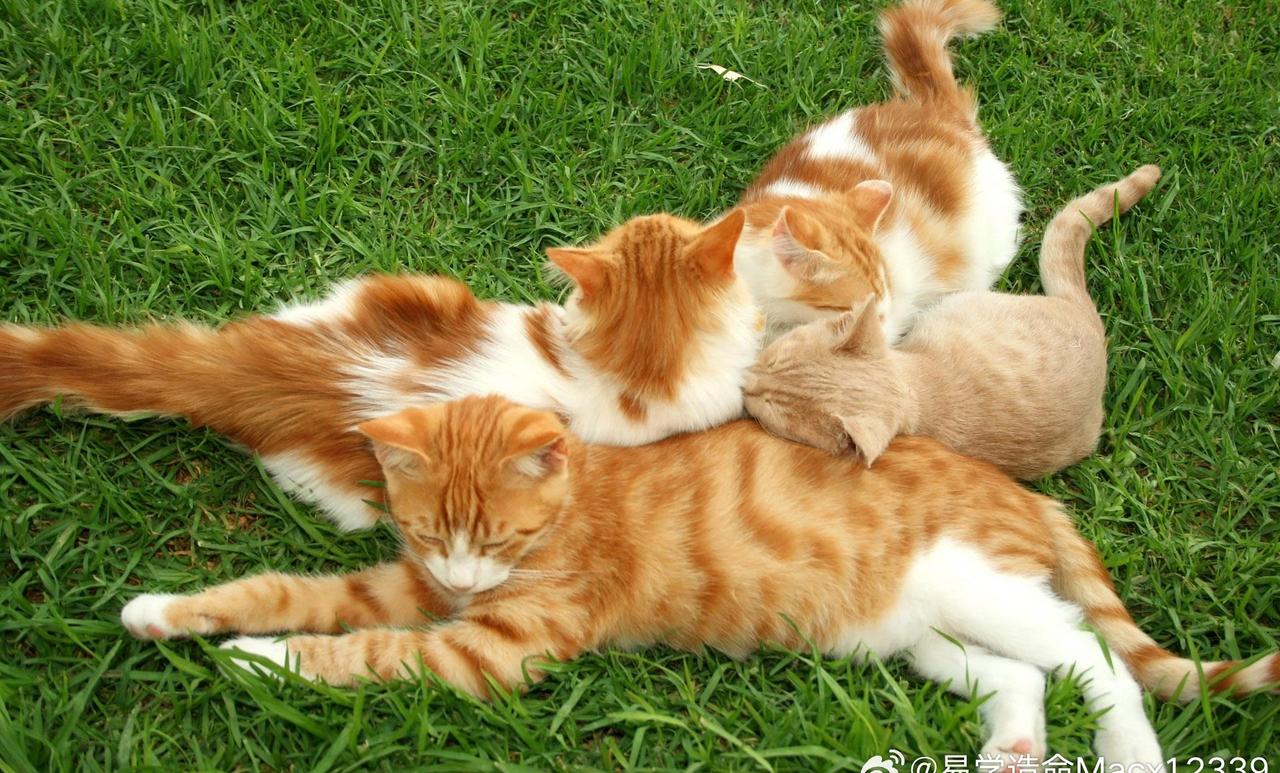 女生爱财，那个是天性，谁不会愿意对自己好点!🔥 ​​​