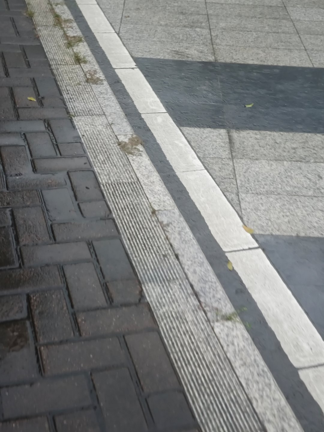 广东的雨都要把整个街道都给淹了 