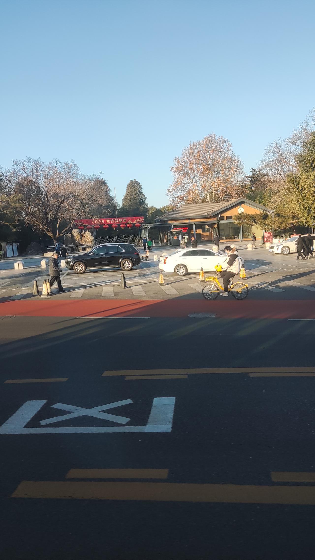 记录我的2026紫竹院公园～