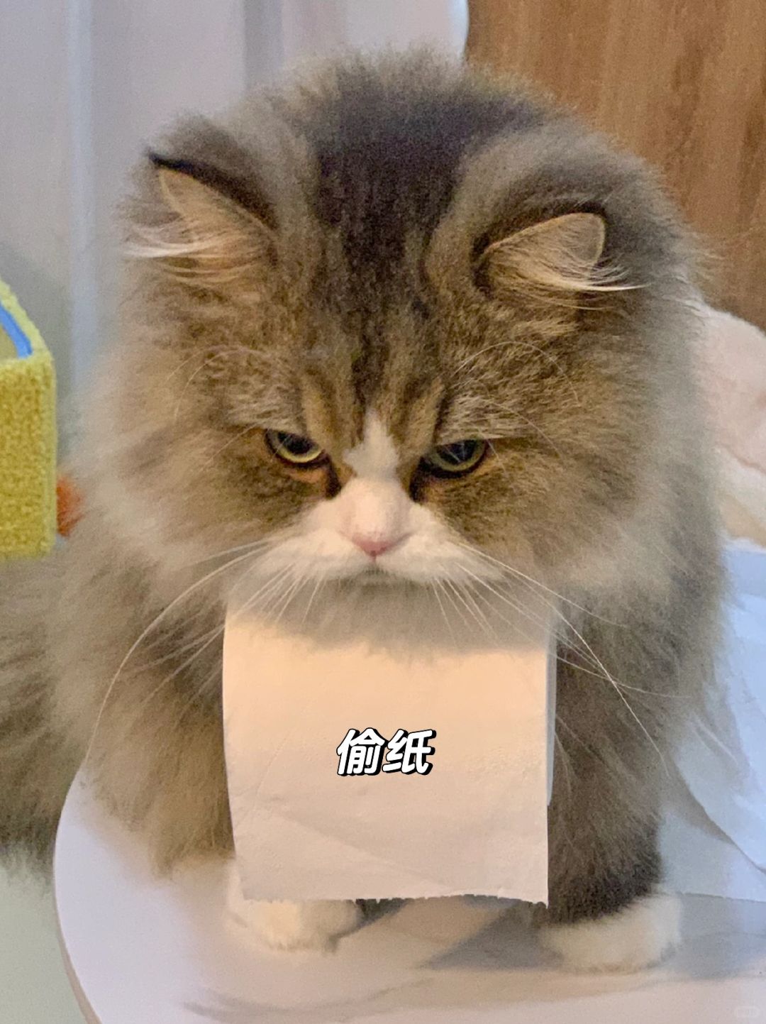 实习生三大“美德”