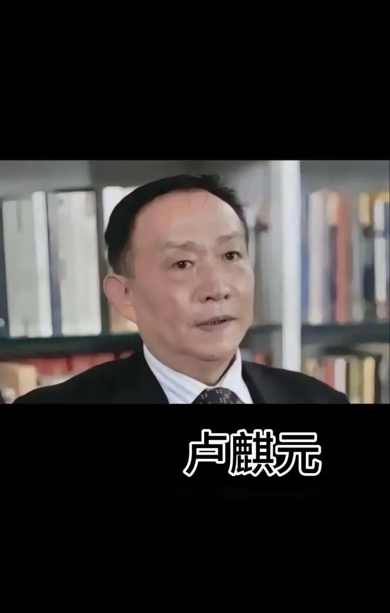 经济学家卢麒元说，我们去日本可以用滴滴打车很方便，可以用微信支付宝很方便，但在香