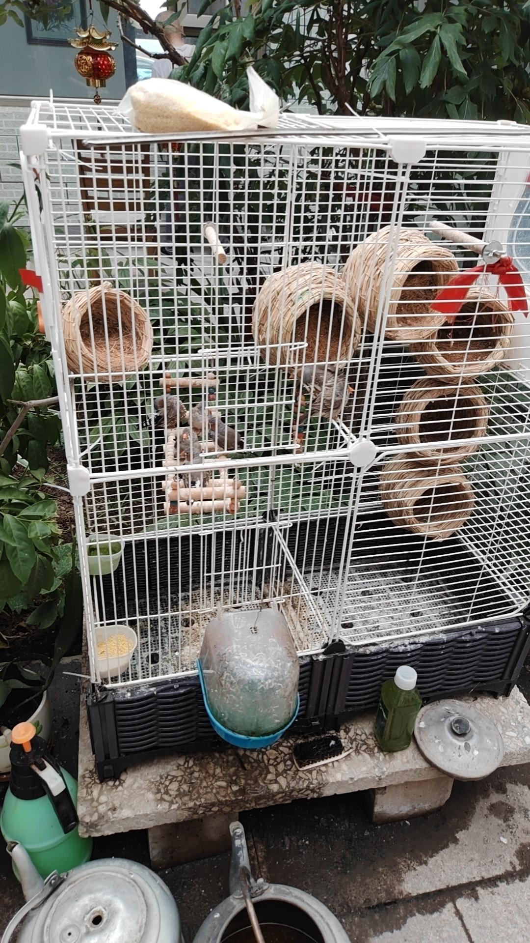 晒图笔记大赛心灯常明：良知如灯，照破迷雾。无论世事如何变迁，守住本心，方能不惧前