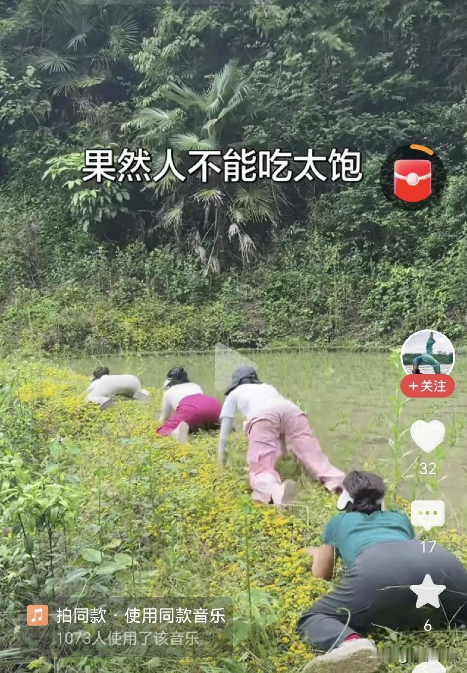 青草池塘处处蛙！不仅有青蛙，还有红蛙、绿蛙和粉蛙、白蛙，而且体型庞大，不下水，只