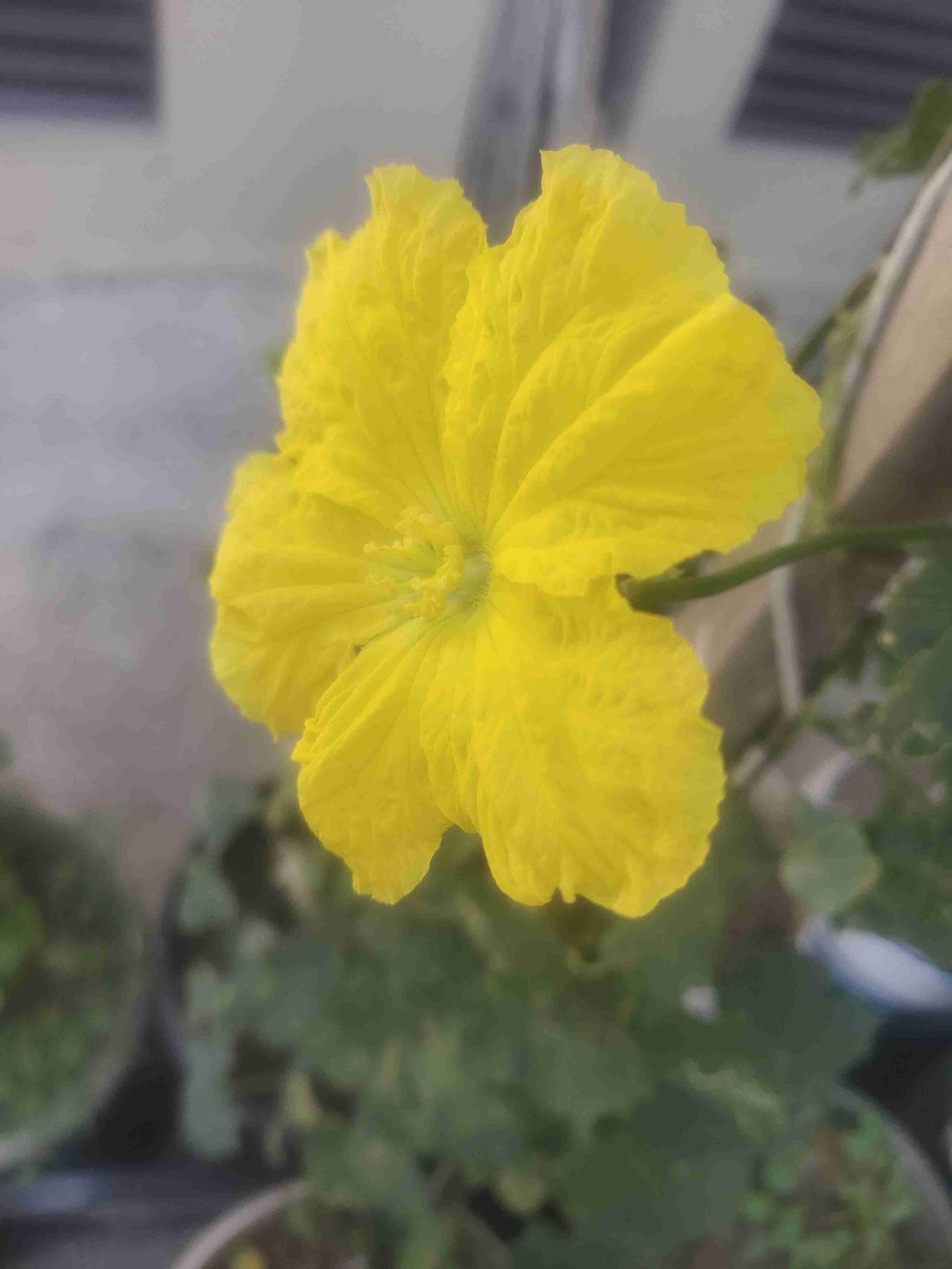 我的今日状态：😁轻松愉快
我这里的天气：☀️晴天