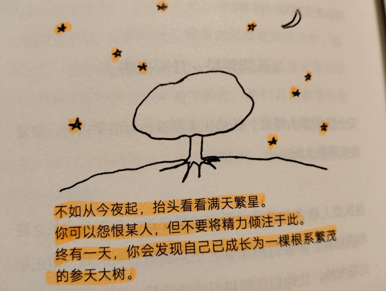 卸下伪装，让灵魂晒透暖阳

在这个竞争激烈的时代，温柔往往被认为是懦弱的代名词，