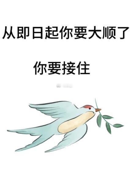 从现在开始你要大顺了，接不接 