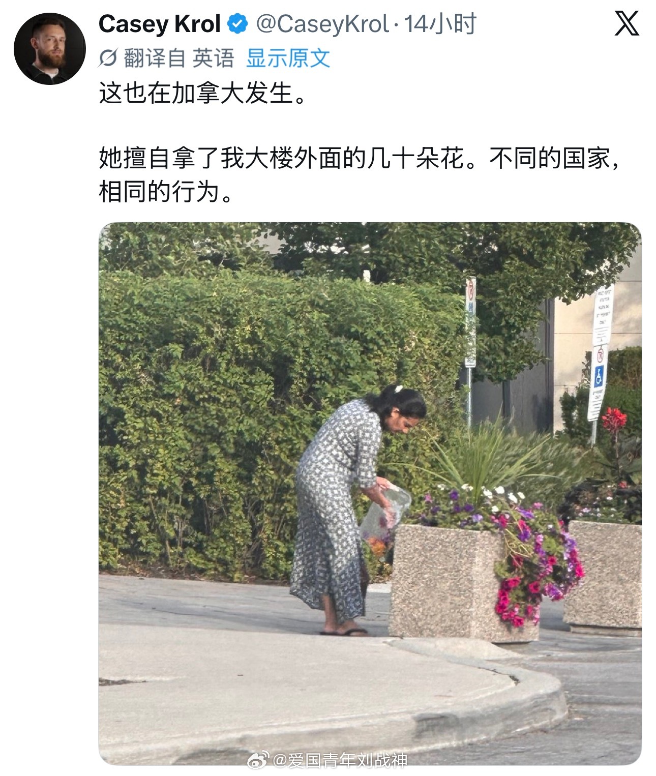 加拿大网友吐槽印度人到哪里都偷路边花坛的花……印度航空客机空中骤降90米17人受