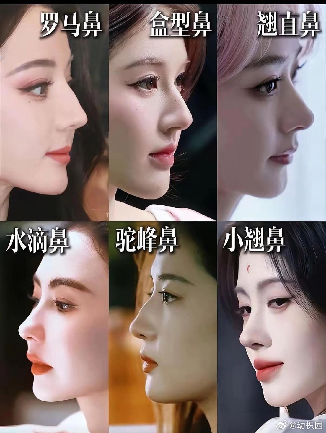 女明星们的“名品鼻”，你最想要哪一种？ 