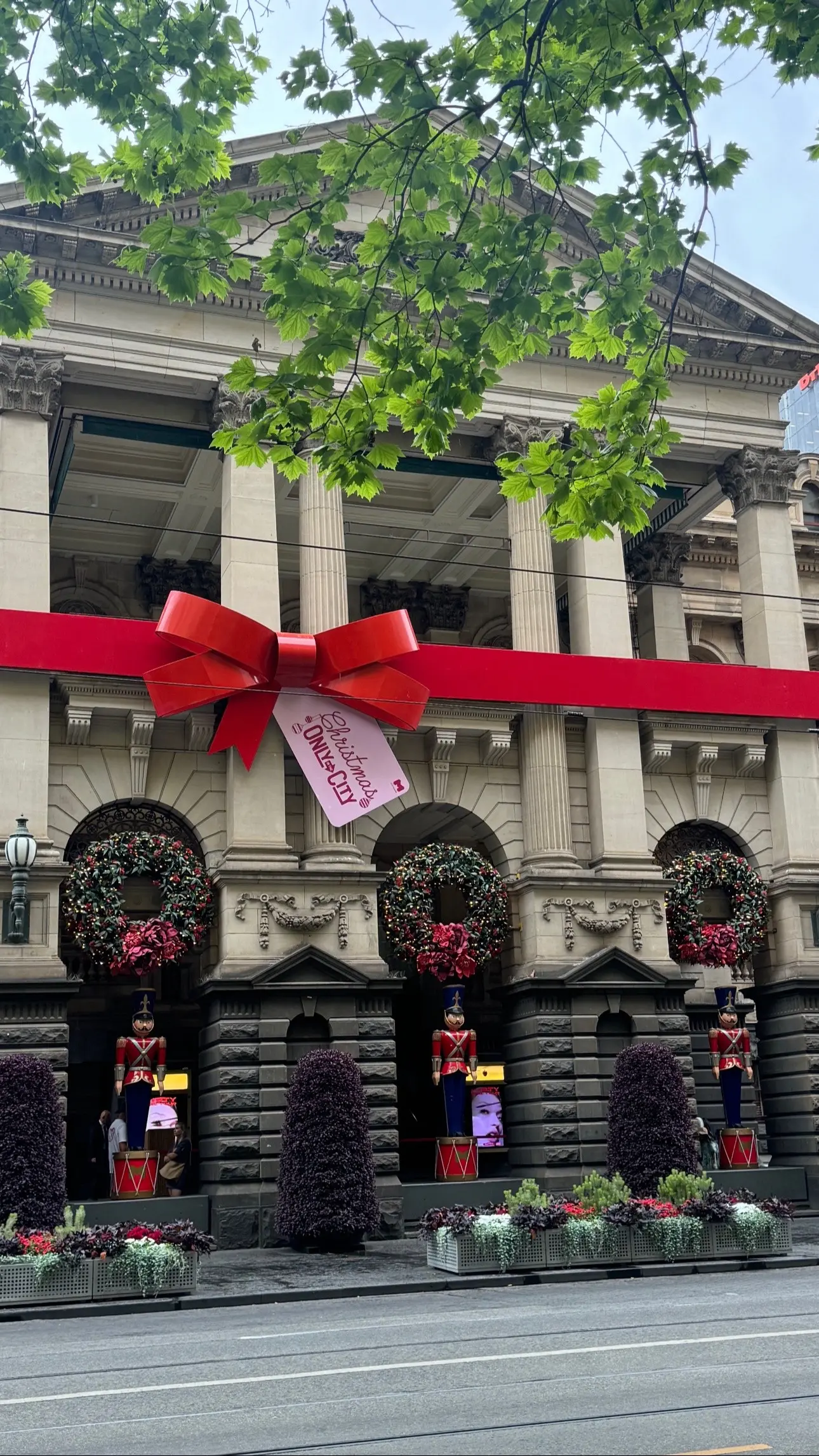 南半球专属的夏季圣诞节要到了🎄。