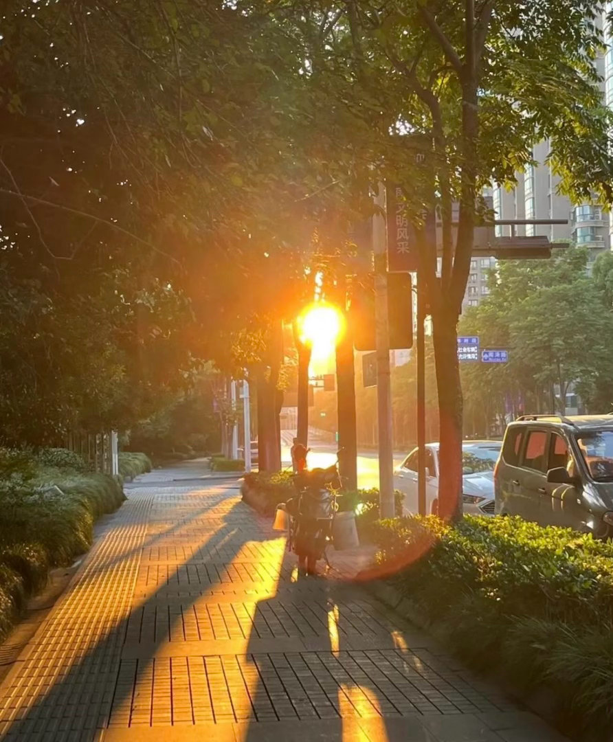 早安 早安☀️“适合早上发，干净高情商句子”1、𝗛𝗮𝘃𝗲 𝗮 𝗻𝗶
